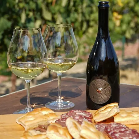 Venkovský dům Il Poggio Di *