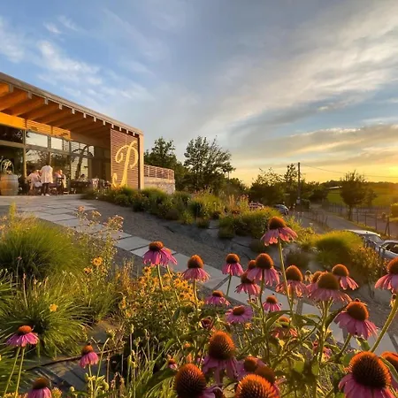 Il Poggio Di * 加维