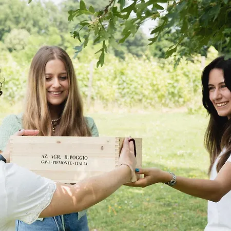 Venkovský dům Il Poggio Di *