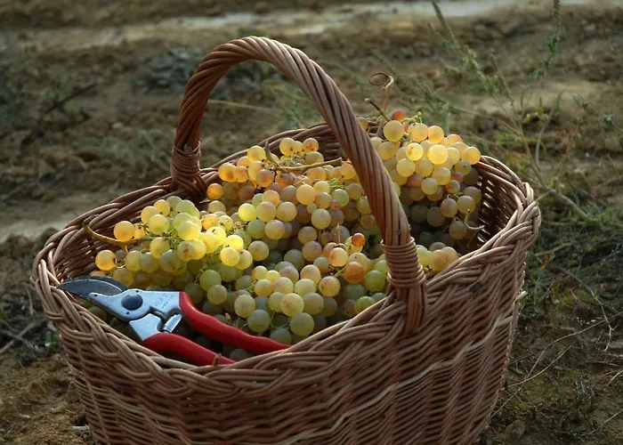 Il Poggio Di *